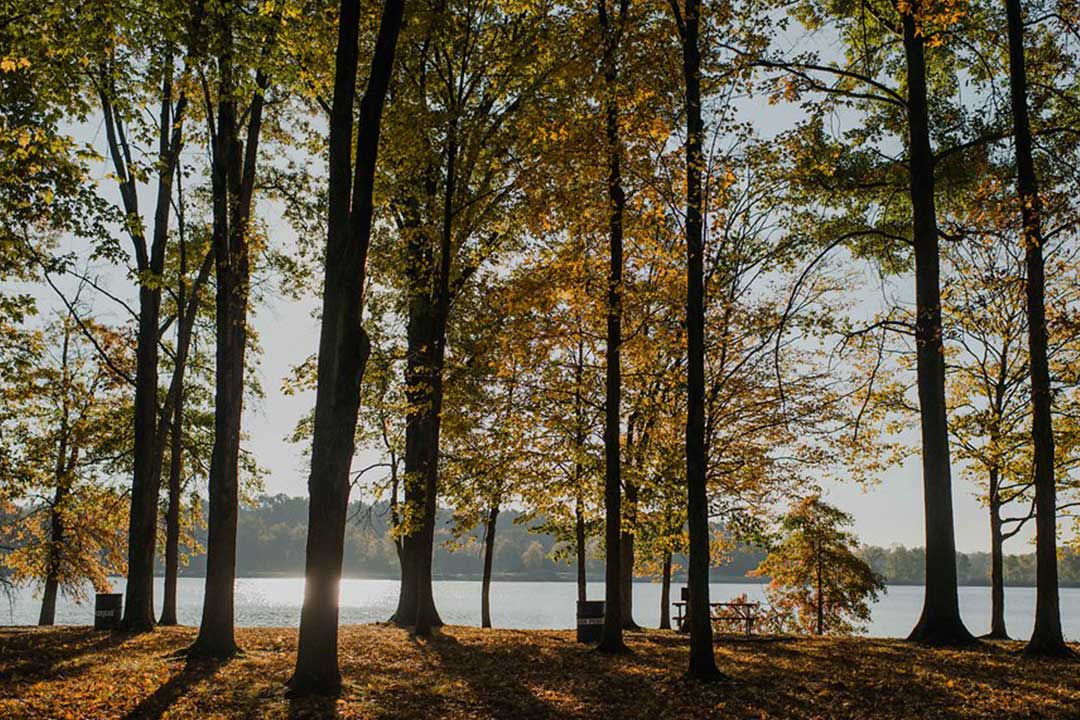 Leave a Legacy in Stark Parks